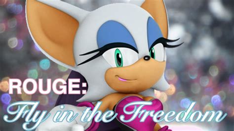 fly in the freedom lyrics|rouge the bat flying.